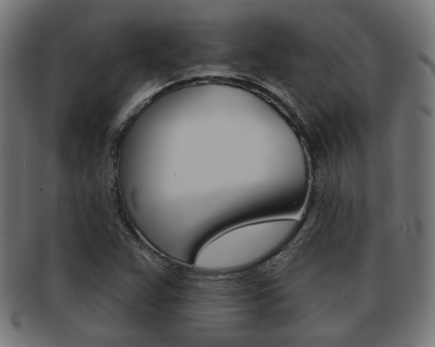X0000091971359200709061123