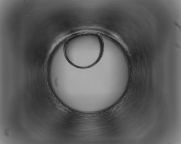 X0000091971360200709061123