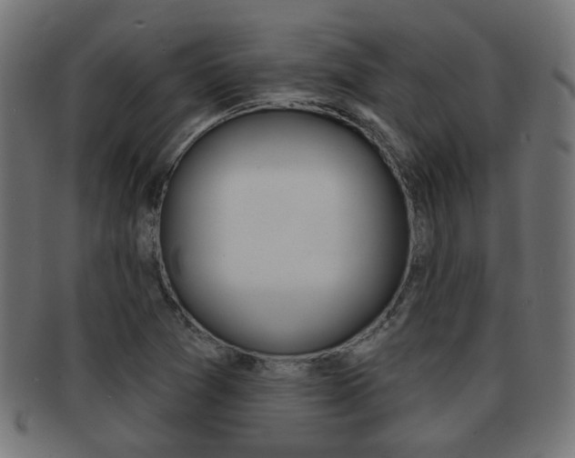 X0000091971361200709061123