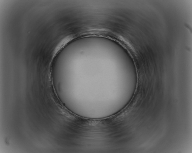 X0000091971362200709061123
