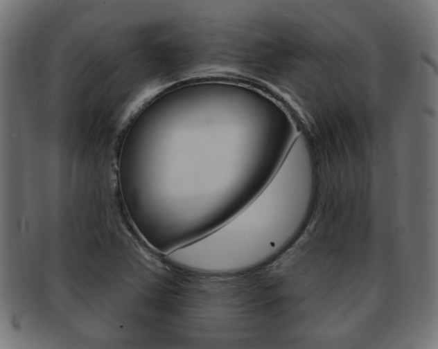 X0000091971363200709061123
