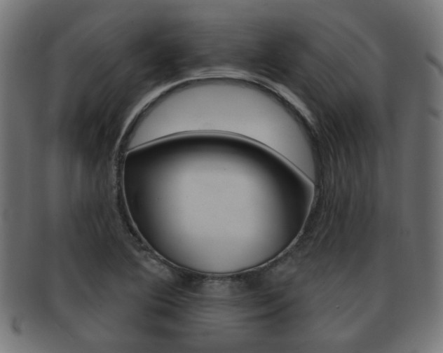 X0000091971364200709061123