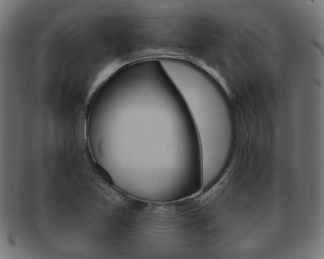 X0000091971365200709061123