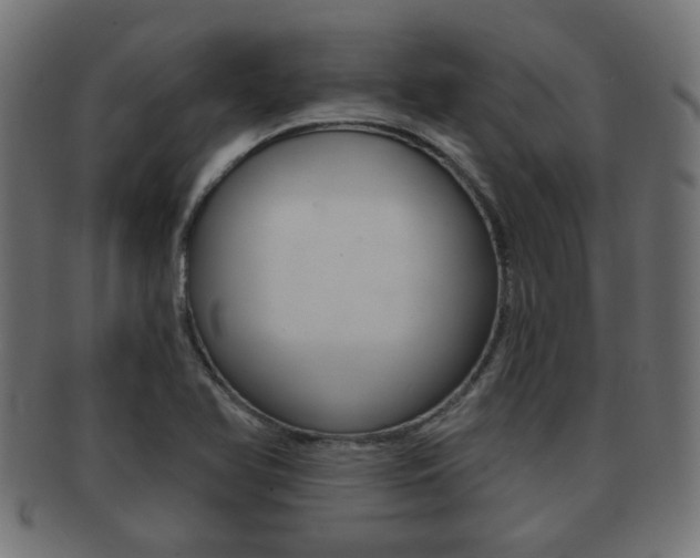 X0000091971366200709061123