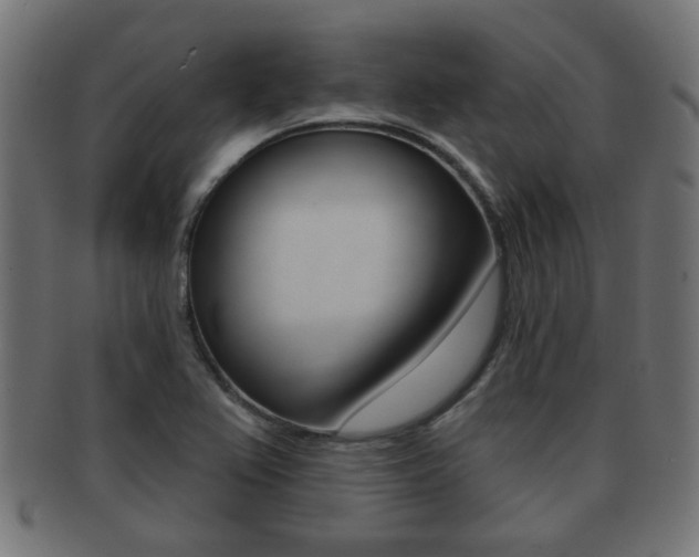 X0000091971367200709061123