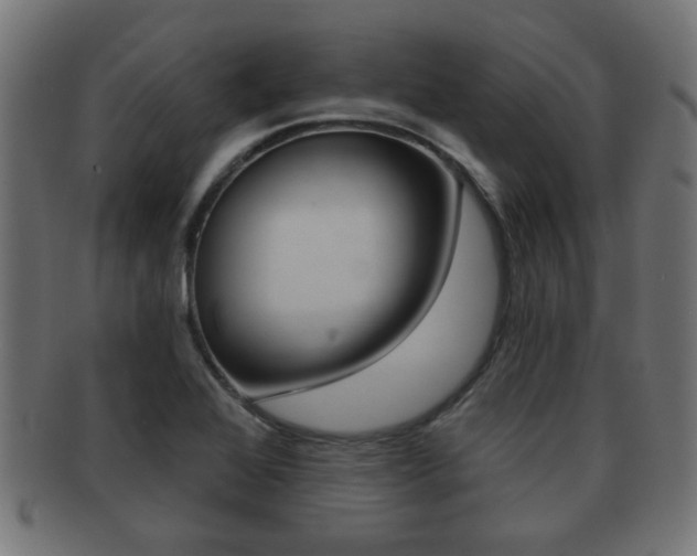 X0000091971368200709061123