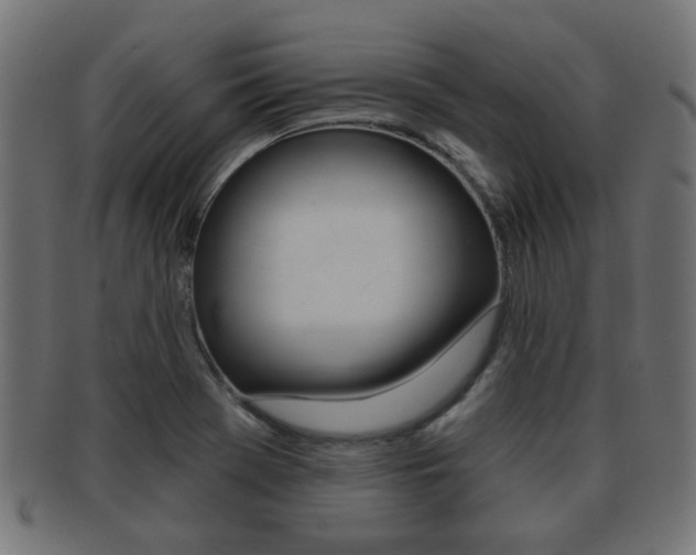 X0000091971369200709061123