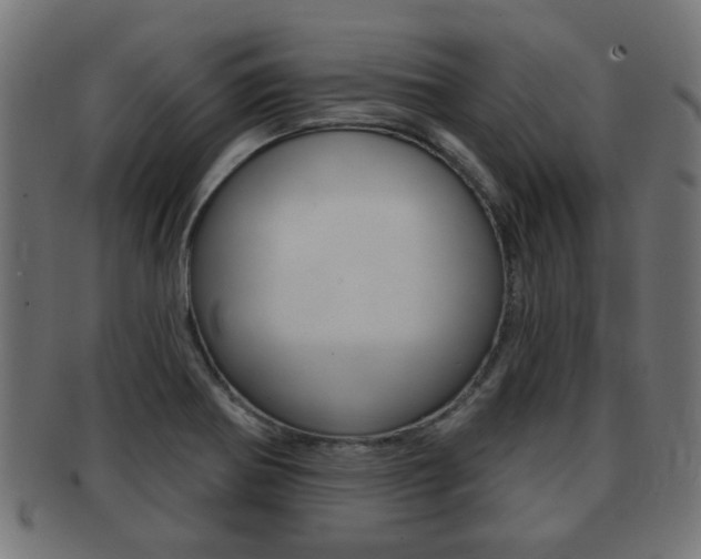 X0000091971370200709061123