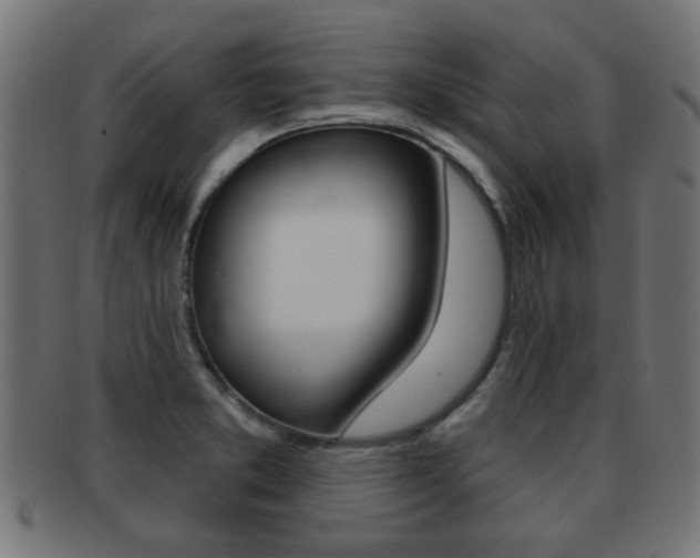 X0000091971373200709061123