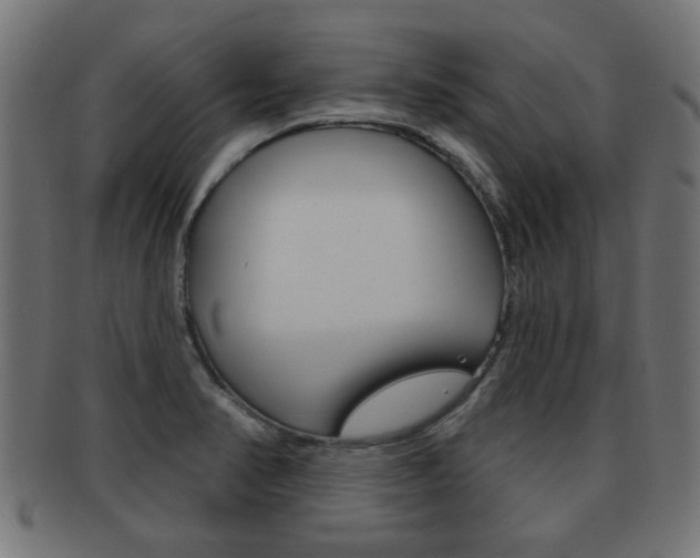 X0000091971374200709061123