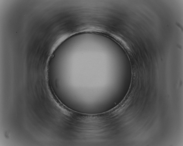 X0000091971375200709061123