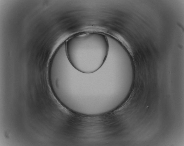 X0000091971376200709061123