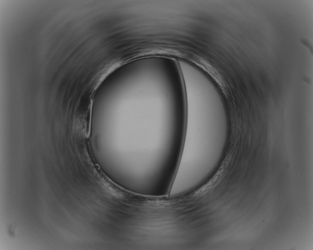 X0000091971377200709061123