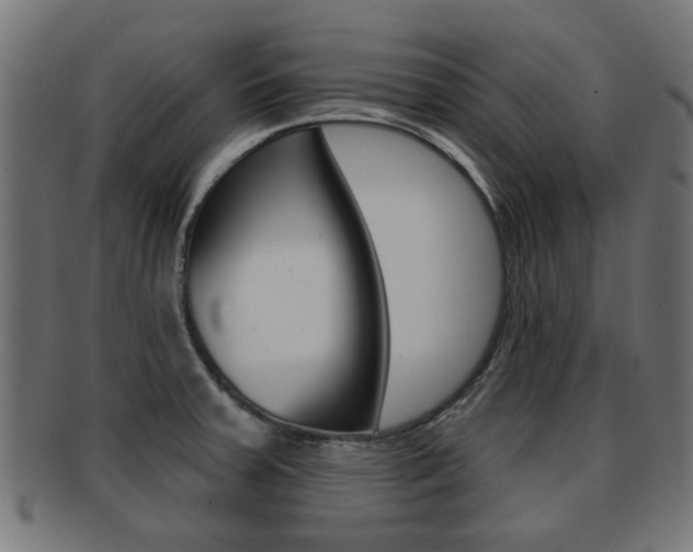 X0000091971379200709061123