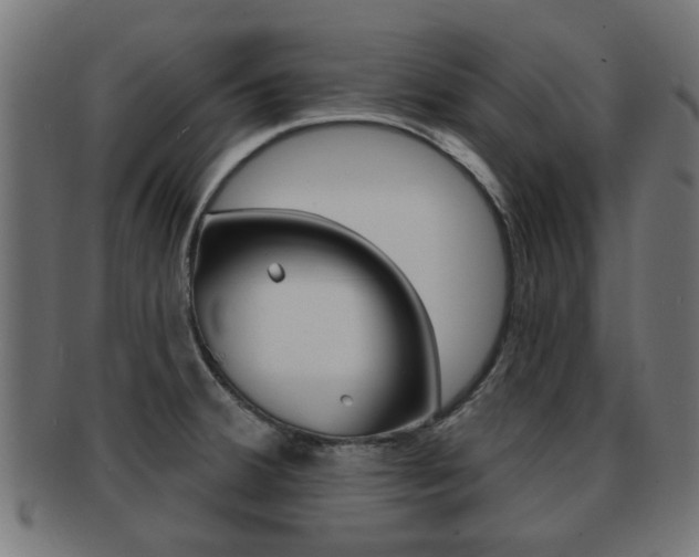 X0000091971380200709061123