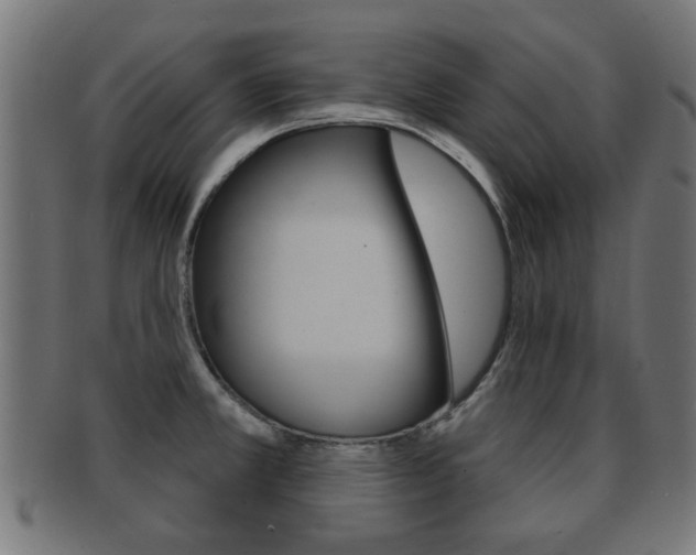 X0000091971381200709061123