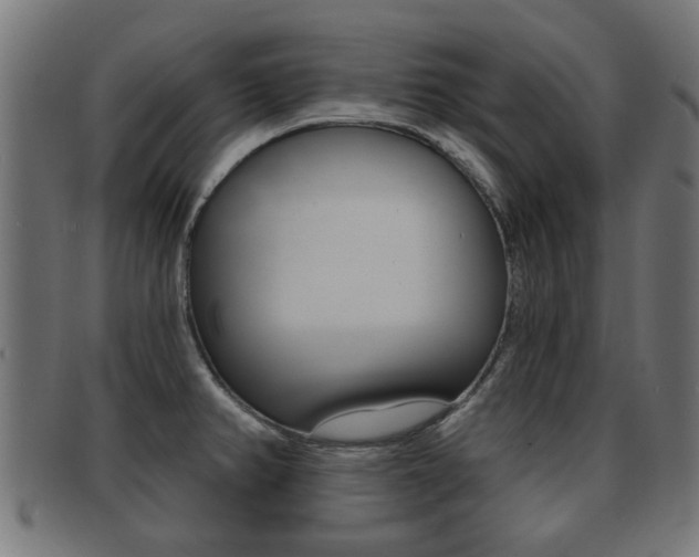 X0000091971382200709061123