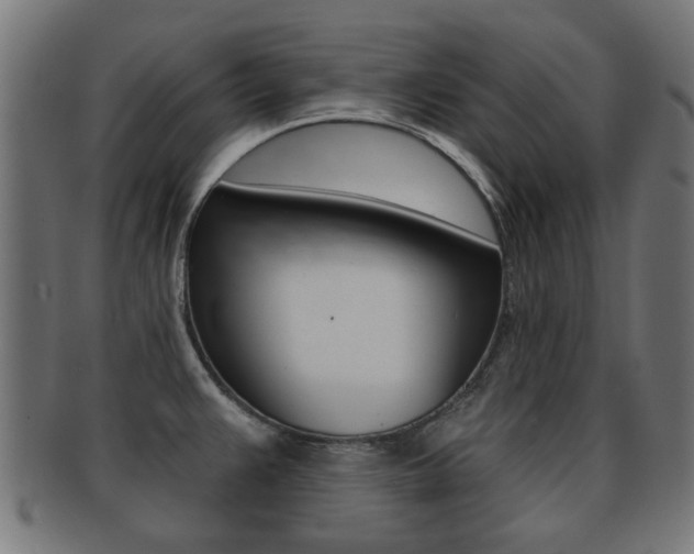 X0000091971383200709061123