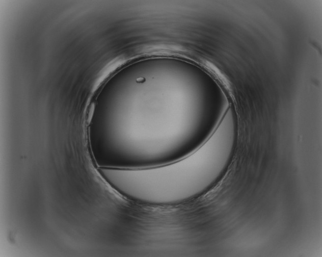 X0000091971384200709061123