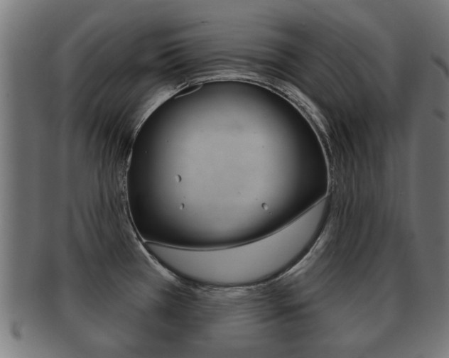 X0000091971385200709061123