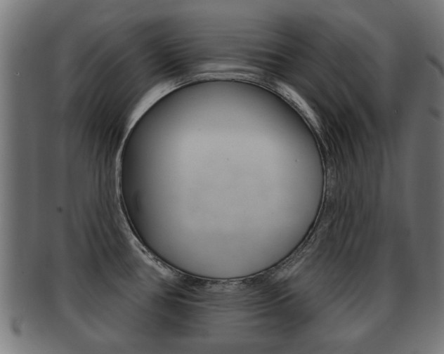 X0000091971386200709061123