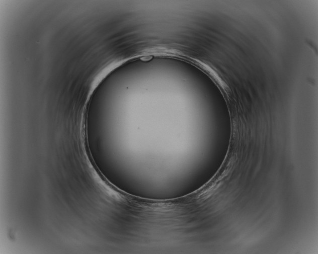 X0000091971387200709061123