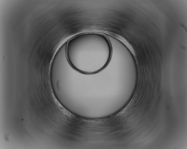 X0000091971388200709061123
