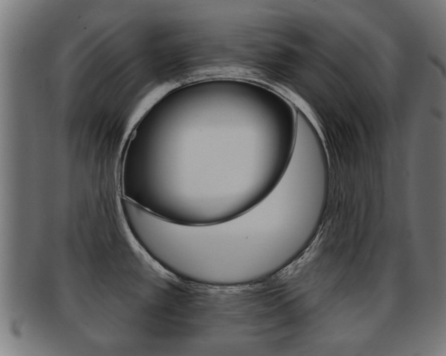 X0000091971389200709061123