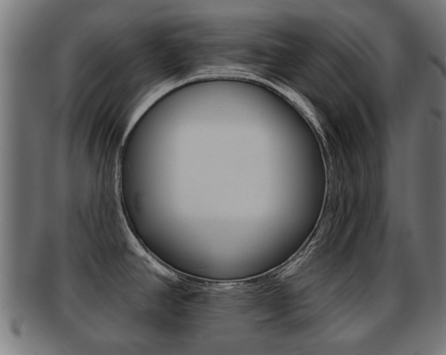 X0000091971390200709061123
