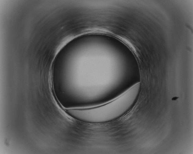 X0000091971391200709061123