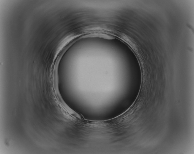 X0000091971392200709061123