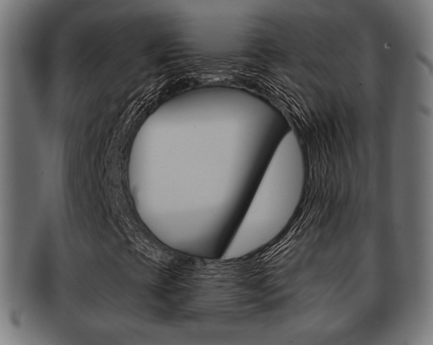 X0000091971393200709061122