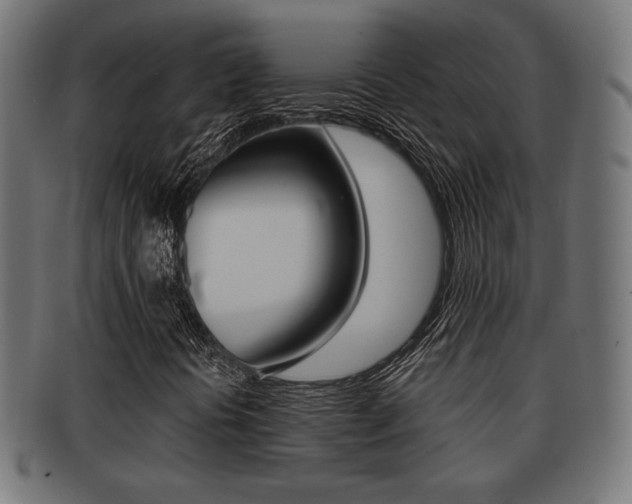X0000091971394200709061122