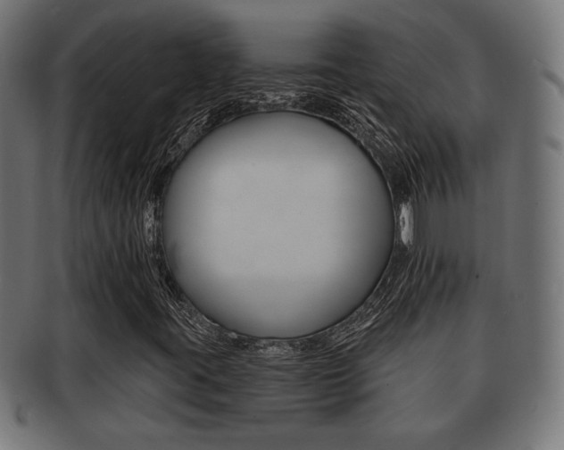 X0000091971395200709061122