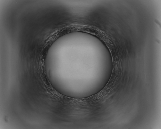 X0000091971397200709061122