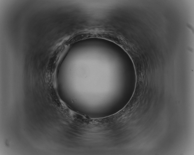 X0000091971398200709061122