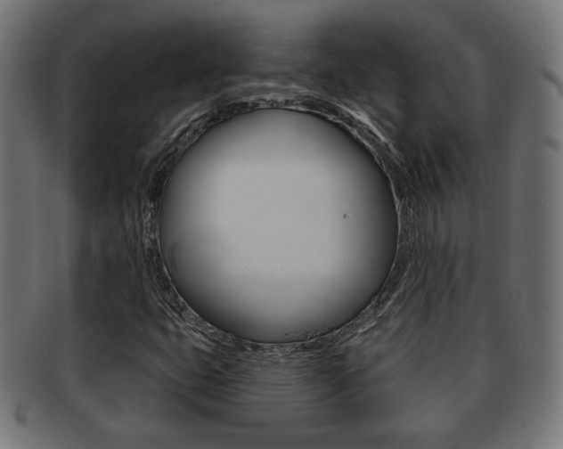 X0000091971399200709061123