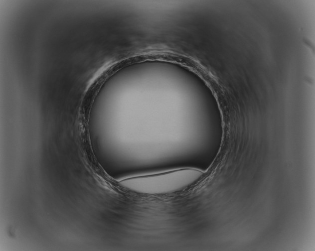 X0000091971400200709061123