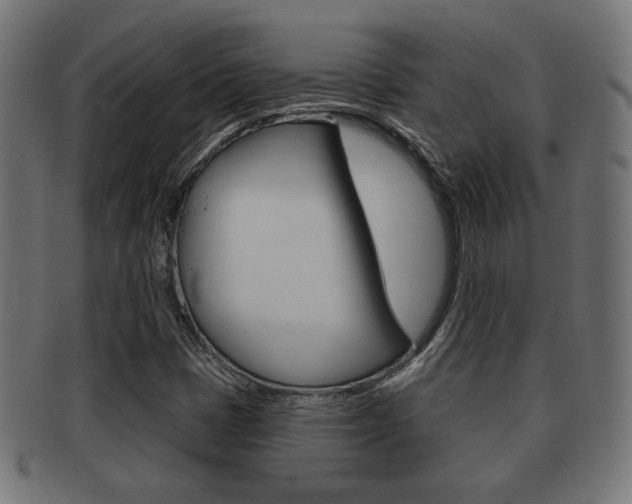 X0000091971401200709061123