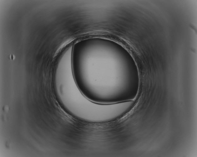 X0000091971402200709061123