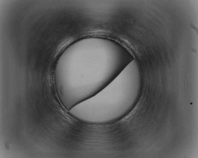 X0000091971405200709061123