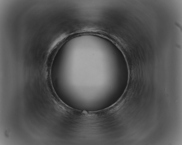 X0000091971406200709061123