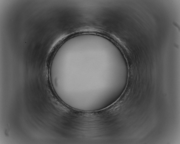 X0000091971408200709061123