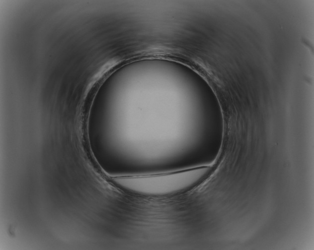 X0000091971410200709061123