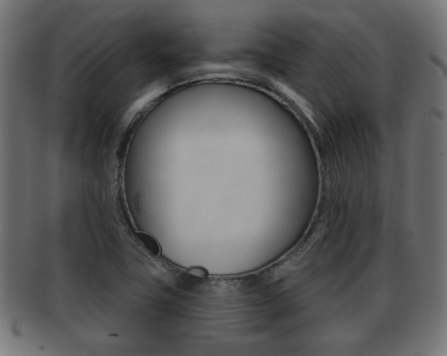 X0000091971411200709061123