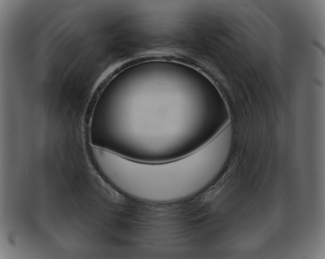 X0000091971412200709061123