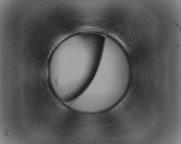 X0000091971413200709061123