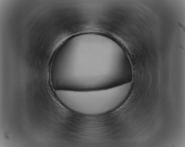 X0000091971415200709061123