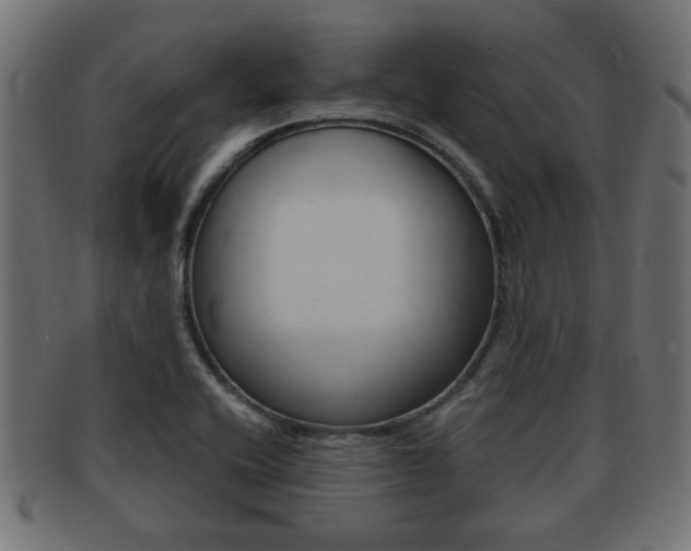 X0000091971416200709061123