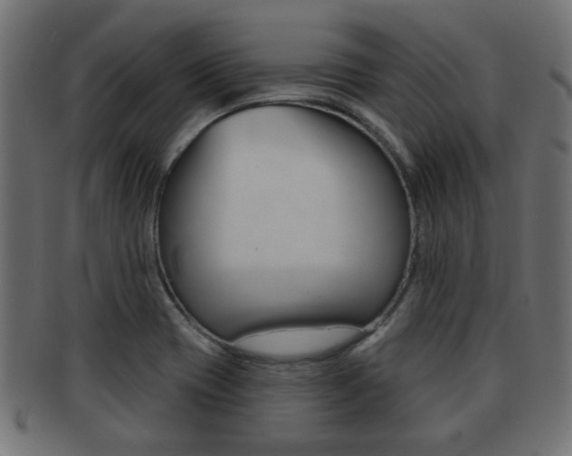 X0000091971417200709061123